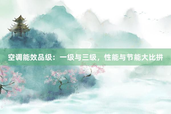 空调能效品级：一级与三级，性能与节能大比拼